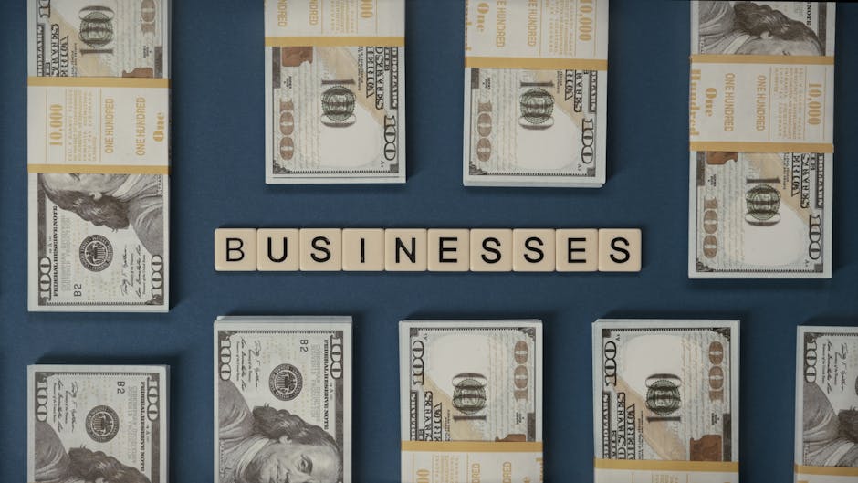 MKB-subsidies en financiering 2026: WBSO, KIA, BMKB, Qredits en meer