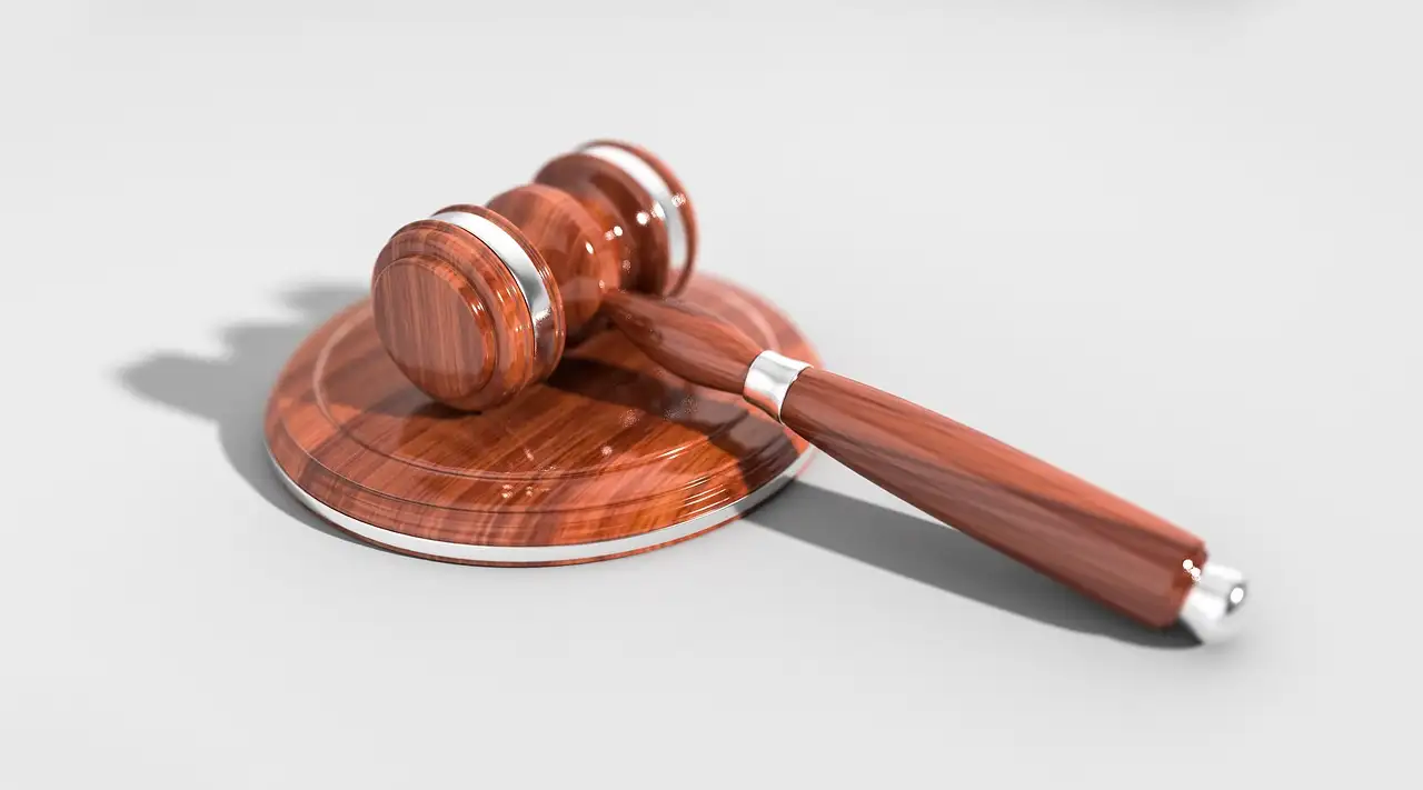 Reprorecht voor ondernemers: wat u moet weten