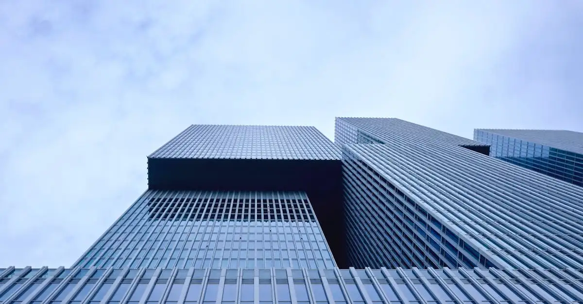 Rotterdams ondernemers belang voor de stad